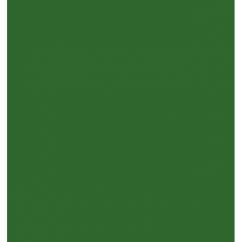 ETYKIETA CIEMNA ZIELEŃ